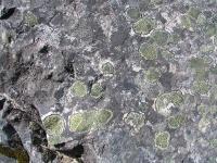 Albums/20060200-New Zealand 2006/20060317-Cook/18